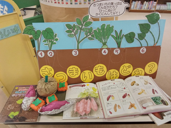 Img_20231004134447358