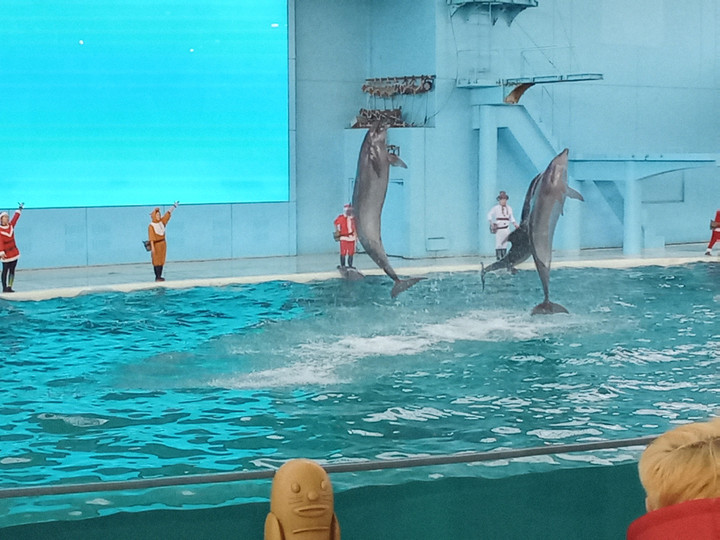 Img_20231121134941204