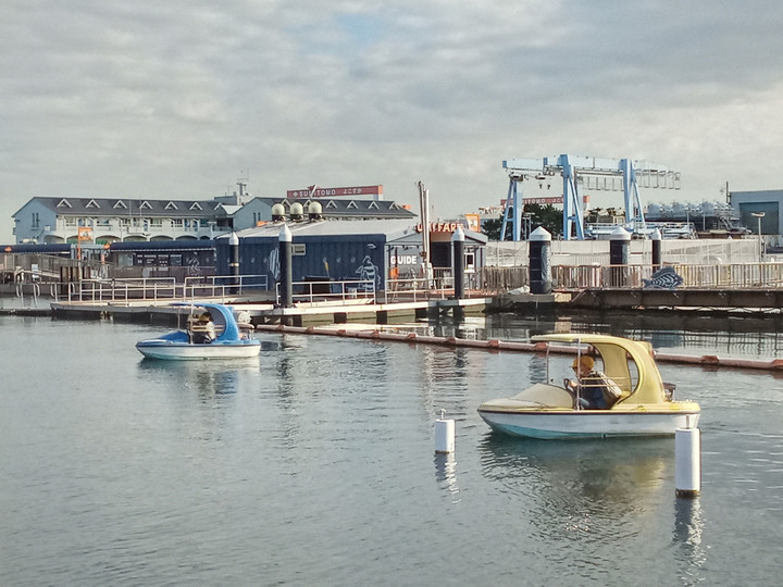 Img_20231121140344801