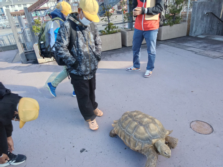 Img_20231121141400381