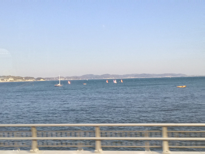 Img_20231122143235801