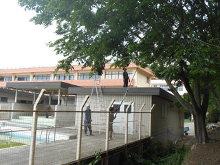 Dscn1599