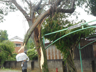 Dscn1889