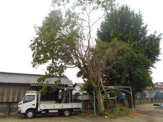 Dscn1900