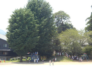 Dscn2710 Dscn2710