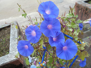 Dscn3254