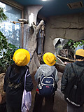 Img_20260929105121168