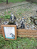 Img_20260929133431605