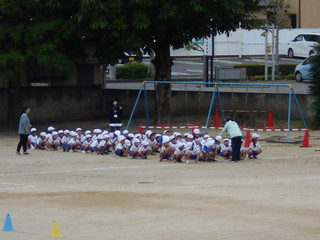 Dscn3483 Dscn3483
